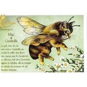 セブリーヌ 【 キャット ポストカード 】 Mai Chabeille 5月 ミツバチ 猫 ネコ はがき
