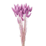 ラグラス　ベリースムージー