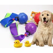 ペット 玩具 ペット用品 犬玩具 おもちゃ　犬　ストレス解消 犬と遊び　歯に健康