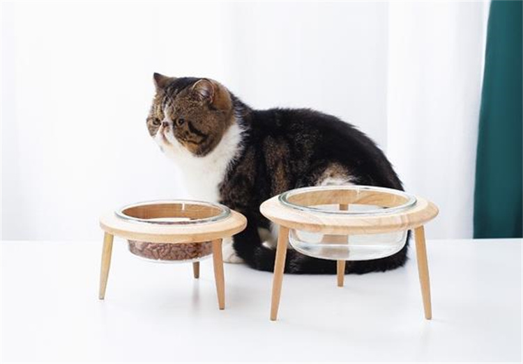 素敵な商品 頸椎保護 斜口 猫茶碗 ペット碗 実木 デザインセンス 猫碗 ペット 鉄架 水碗 犬碗 大人気