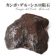 【隕石】カンポ・デル・シエロ隕石　約544g　オクタヘドライト　アルゼンチン産　一点物