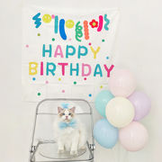 【2023春夏新作】  ペット バースデー バルーン 飾り付け 飾り 誕生日 犬猫兼用 ペット用品 ネコ雑貨