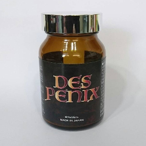 DES PENIX(デスペニックス)2025.01