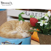 ↓PRICE DOWN↓【Benny's】 ベニーズキャット ネコ缶 ［ ねこ 猫 ネコ アニマル 茶トラ かわいい ］