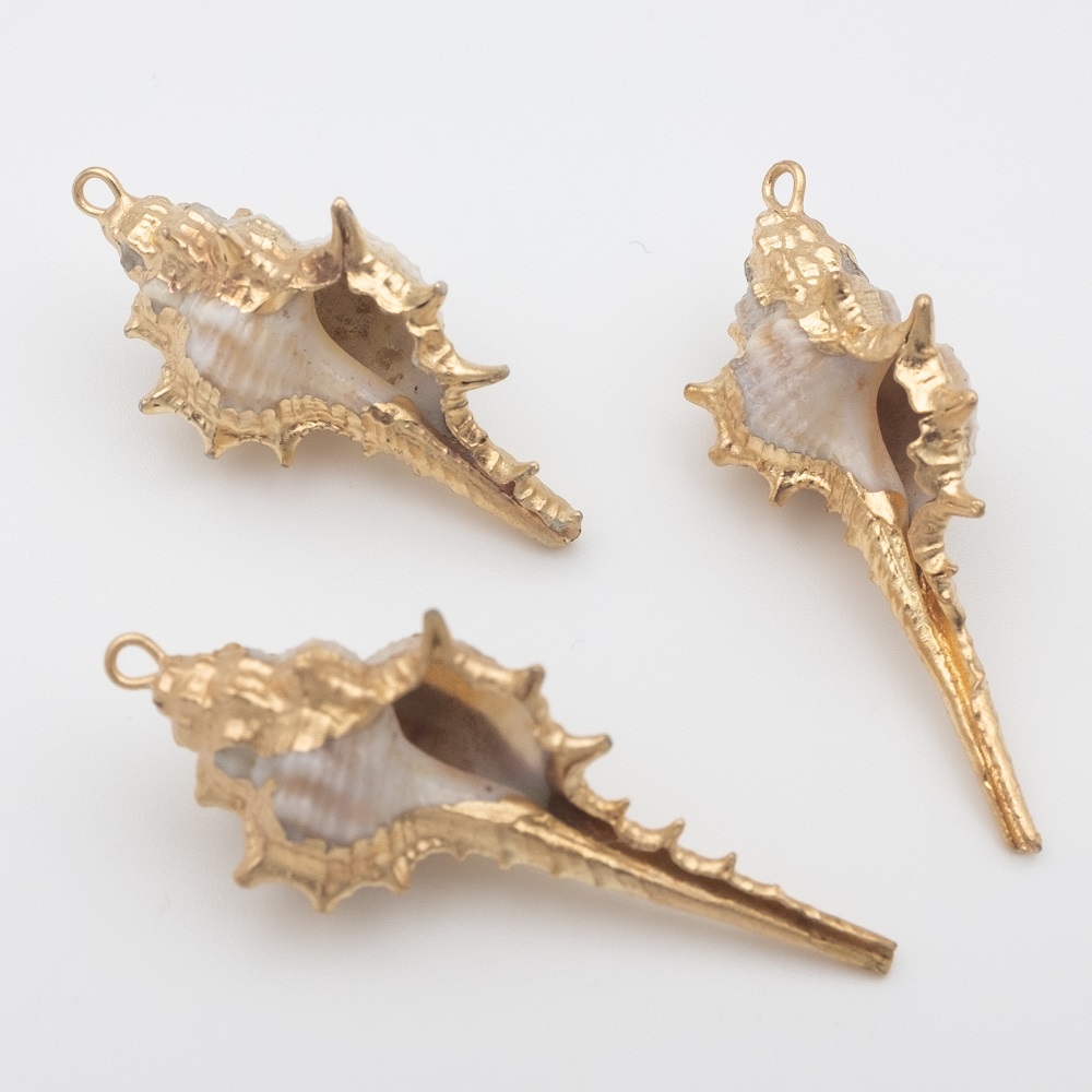夏アクセサリー】ゴールドで縁取った本物の貝殻パーツ/天然貝殻 夏アクセサリー】ゴールドで縁取った本物の貝殻パーツ/天然貝殻