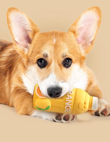 ペット用品　おもちゃ　玩具　遊び　小犬 歯磨き 音が出る