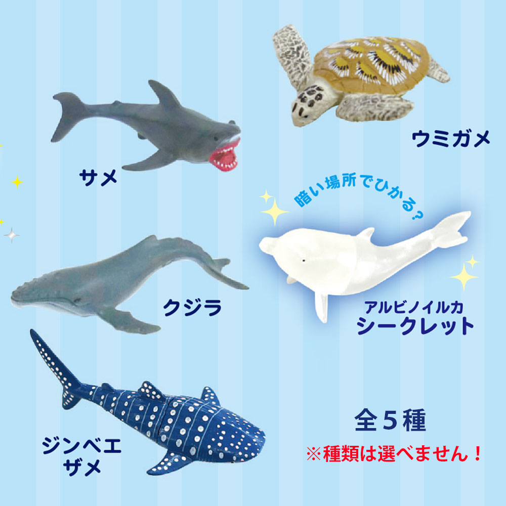 合＋体 水族館 バスボール 全5種 コンプリートセット 大陸 マスコット 合体 入浴剤 売買されたオークション情報 落札价格 【au  payマーケット】の商品情報をアーカイブ公開