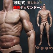デッサン用 模写 模型 筋肉 モデル人形 人形 可動式 漫画模型 筋肉質体型 全身ドール