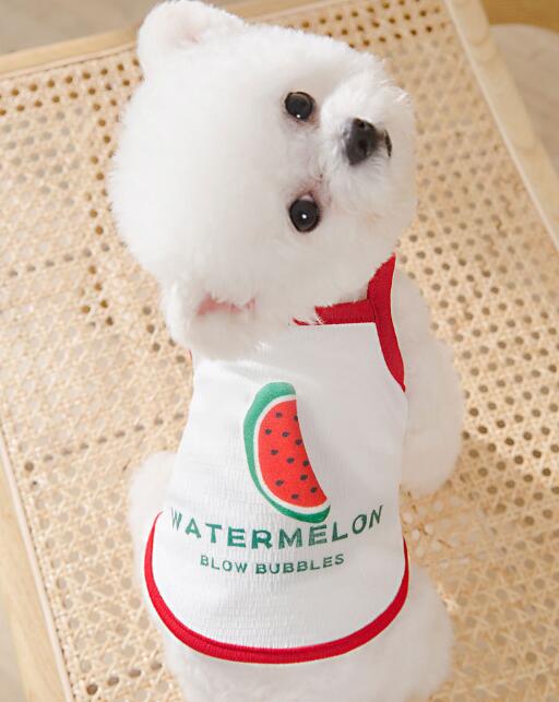 ペット クールベスト 犬用 猫 熱中症対策 ひんやりベスト 冷感犬服 接触冷感 ペット服　暑さ対策 快適
