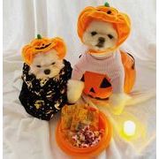 人気新作 ペット用品    帽子 ペット服   ハロウィン かぼちゃ 小型犬服  超可愛い    ネコ雑貨