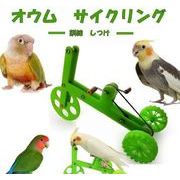 三輪車 小鳥 インコ オウム 自転車 しつけ 訓練 学習 遊び ストレス解消 運動 鳥用品