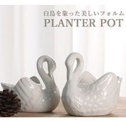 多肉ポット 植木鉢 白鳥 プランター オブジェ 盆栽鉢植え 植木鉢 花瓶 インテリア置物