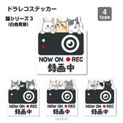 【猫シリーズ３（白色背景）】ドラレコ　ドライブレコーダーステッカー シール １枚