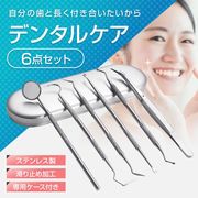 歯石取り 歯石除去 器具 オーラルケア 歯垢 ヤニ 口臭予防 6点セット ステンレス 収納ケース スケーラー
