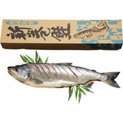 北海道産 新巻鮭（姿切れ目入り）1.6kg 430201【直送品】（※出荷は11月上旬～）