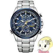 腕時計 PROMASTER プロマスター ブルーエンジェルスモデル エコ・ドライブ スカイシリーズ AT8020-54L