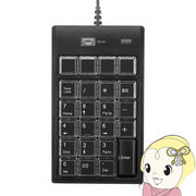 テンキー サンワサプライ プログラマブル NT-19UH2BKN2 割り付け機能搭載 有線USB接続 メンブレン 23キ