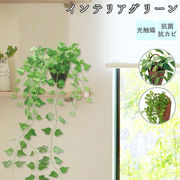 光触媒 観葉植物 フェイクグリーン おしゃれ 壁掛け フェイク 造花 吊り下げ ハンギング フック