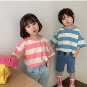 2024夏新作  韓国風子供服  ベビー服  トップス  半袖   Tシャツ  ボーダー柄   2色
