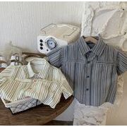 2点セット  ins 韓国風子供服  ベビー服  ストライプ  シャツ+ショートパンツ  2色