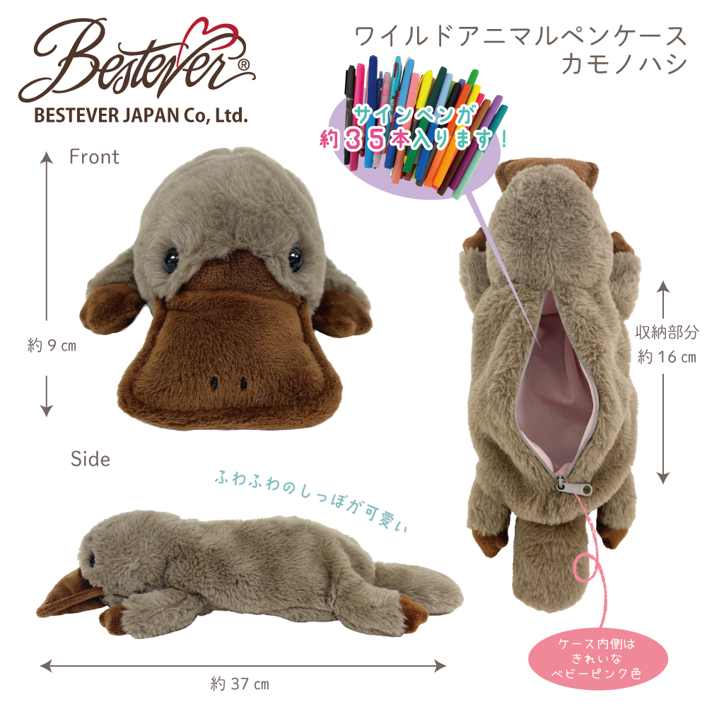 カモの剥製 鴨の剥製
