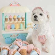 韓国のペットの犬と猫のおもちゃ、アイスクリームの形をしたペットのおもちゃ、響くおもちゃ