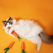 ペット 用品 猫 玩具  ニンジン にんじん型 おもちゃ野菜