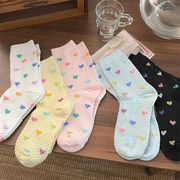 2024★ソックス★レディース靴下