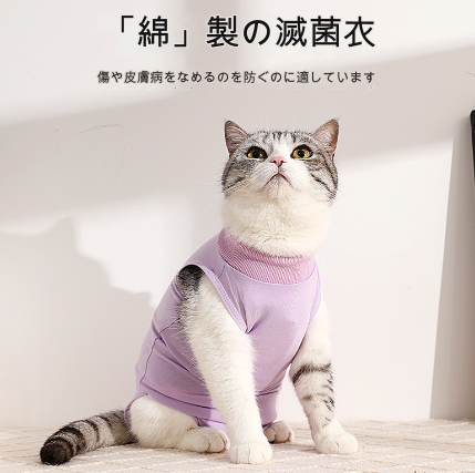 ミニ三角スタイ(クリスマス クマさん) 猫 首輪 セーフティバックル ミニ三角スタイ(クリスマス クマさん) 猫 首輪 セーフティバックル