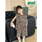 2024夏新作  ベビー服 韓国風子供服 男の子 袖なしトップス+ショートズボン  2点セット 2色 90cm--140cm