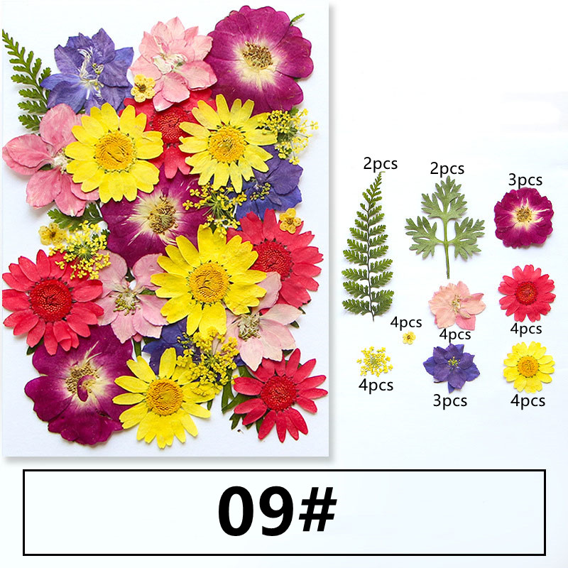 押し花 レジン ドライフラワー MIX アソートセット 封入 ネイル
