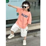 2024夏新作  ベビー服 韓国風子供服 男の子  半袖  トップス+ショートズボン  2点セット90cm--150cm