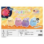 フラッシュポンポンぷにまるちゃん