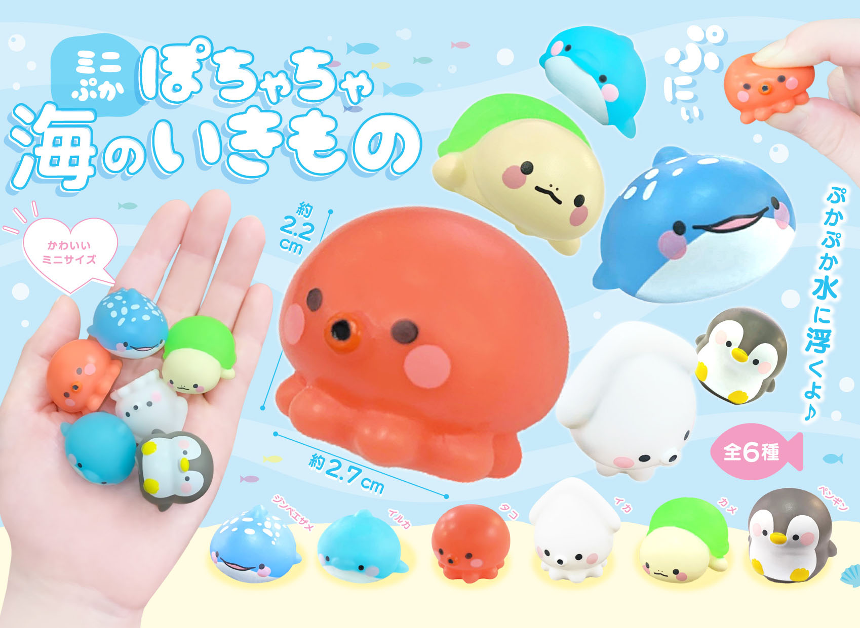 海水蛍光画が6割引き！