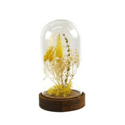 ☆ＬＥＤドライフラワードームライト　トール　ベイビーズブレス