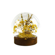 ☆ＬＥＤドライフラワードームライトボール　ベイビーズブレス