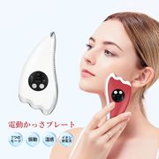 美顔器 かっさ LED美顔器 リフト美顔器 首元ケア 顔 リフトケア イオン導入器 振動エステ 3つモード