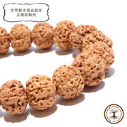 【パワーズウッド】ブレス　金剛菩提樹＜インド、ネパール、インドネシアなど＞　丸　約12〜13mm