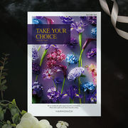 チョイスギフト テイク・ユア・チョイス　セントポーリア   28490円コース【包装無料】（カタログギフト）