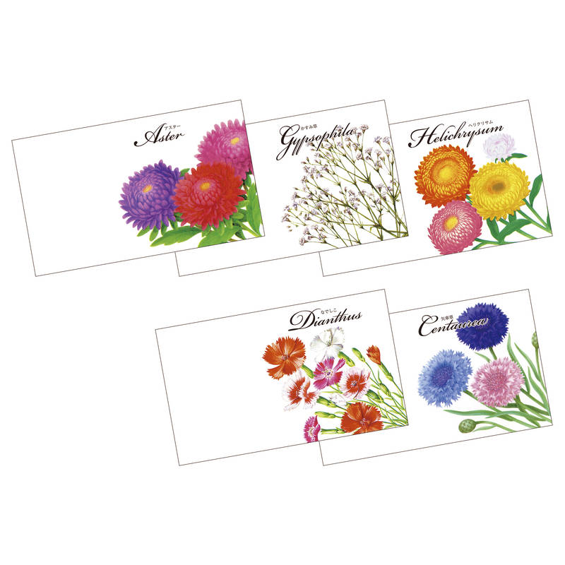 （4月より値上げ）【単品・指定不可】 花の種子（横型）
