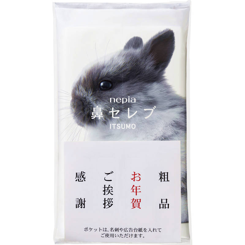 （4月より値上げ）ネピア 鼻セレブITSUMO＋PLUS 48W シール・ポケット付き