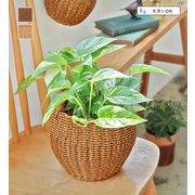 【OTHER】ユティル ポットL UTILE / ユティル