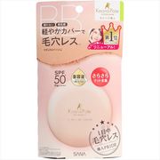 毛穴パテ職人　フィットスキンＢＢパウダー 【 常盤薬品 】 【 メイク 】