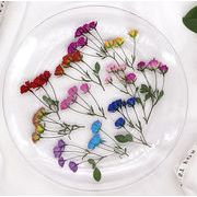 押し花 ブーケ 花 ドライフラワー デコパーツ 薔薇 バラ 赤 レッド ピンク 紫 レジンパーツ ハーバリウム