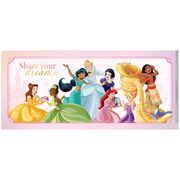 ディズニープリンセス チケットホルダー