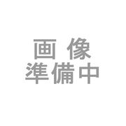 ﾈｰﾑﾀｸﾞ ｵﾚﾝｼﾞ