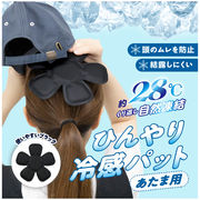 熱中症対策 暑さ対策 猛暑の夏を快適に！ひんやり冷感ヘッドパッド