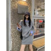 2025年INS 秋新作  韓国風    気質    chic 韓国ファッション   厚手　トップス　セーター+スカート セット