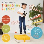 トランポリン クッション 室内 静音 50×50cm 替えカバー付き