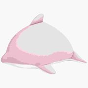 もぐっちいるか